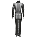 Women's Autumn And Winter Fashionable Sexy Mesh Patchwork High Neck Pleated Long Sleeve Slim Dress