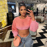 Women Sexy See-Through Crop Casual Sweater