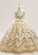 Girl's Wedding Dress Embroidered Children's Mesh Puffy Princess Dress