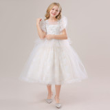 Children's Princess Dress Mesh Wedding Dress Long Flying Sleeve Dress