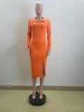 Women Polo Neck Slit Solid Dress