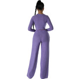 Sexy Fashionable Solid Color Round Neck Long Sleeve Two-Piece Pants Set