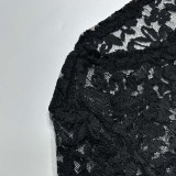Autumn women's hollow lace pattern See-Through slim long dress