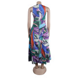 Fashion Sexy Slim Fit Hollow Printed Patchwork Sleeveless A-Line Dress