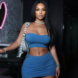 Women Solid Top and High Waisted Bodycon Skirt Two-piece Set
