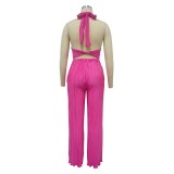 Fashion Women's Sexy Solid Color halter Sleeveless Low Back Top Pleated Pants two piece set
