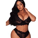 Black Lace See-Through Straps Bra Thong Sexy Lingerie Set