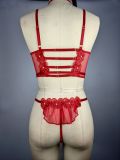 Valentine's Day Sexy Temptation Erotic Underwear Set Mesh Embroidery Passion Women Lingerie