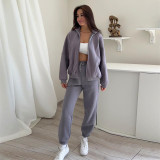 Women's Winter And Spring Stand Collar Zipper Topo Trousers Casual Two Piece Tracksuit