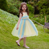 Children's Dress Tutu Princess Dress Kids Girls Performance Dress