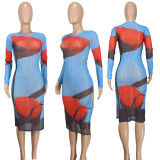 Women's Clothing Sexy Printed Mesh Slit Dress For Women