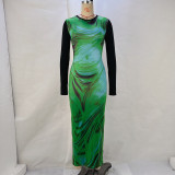 Women's Spring And Summer Fashion Round Neck Printed Long Sleeve Slim Waist Bodycon Dress