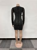 Sexy Beaded See-Through Mesh Patchwork V-Neck Feather Party Dress