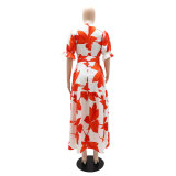 Women V-Neck Casual Puff Sleeve Printed Dress