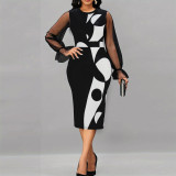 Women's Fashion Digital Printed Mesh Patchwork Long Sleeve Slim Pencil Dress