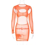 Women's Summer Fashion Mesh Sexy Hollow See-Through Round Neck Slim Dress