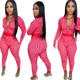 Women Sexy Printed Stretch Long Sleeve Top and Pant Two-piece Set