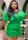 Women See-Through Elegant Shawl Sleeve Formal Party Bodycon Dress