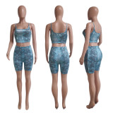 Spring Women's Fashion Casual Snakeskin Pattern Print Two Piece Shorts Set