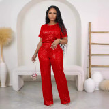 Women Spring Summer Sequin Solid Short Sleeve Top and Pants Two-piece Set