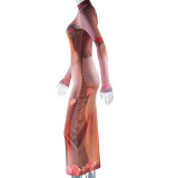 Women Round Neck Long Sleeve Printed Dress