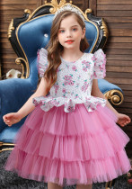 Children's Mesh Princess Dress Formal Party Dress