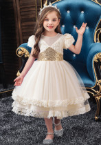 Girls sequined mesh holiday party costume princess dress