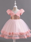 Girls sequined mesh holiday party costume princess dress