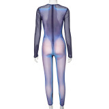Women's Spring See-Through Mesh Patchwork Round Neck Long Sleeve Jumpsuit