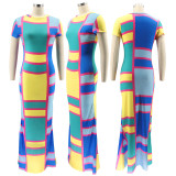 Women Round Neck Printed Maxi Dress