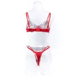 Sexy Embroidered See Through Mesh Two Piece Lingerie Set
