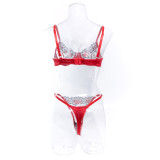 Sexy Embroidered See Through Mesh Two Piece Lingerie Set