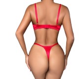 Sexy Embroidered See Through Mesh Two Piece Lingerie Set