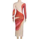 Women Spring Round Neck Long Sleeve Sexy Mesh Print Maxi Dress