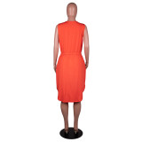 Plus Size Women Sleeveless Printed Dress