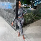 Women Spring Round Neck Long Sleeve Top and Printed Pants Two-piece Set