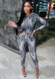 Women Spring Round Neck Long Sleeve Top and Printed Pants Two-piece Set