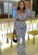Women Autumn Zebra Print Long Sleeve Crop Top And Pants Two-piece Set