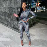 Women Spring Round Neck Long Sleeve Top and Printed Pants Two-piece Set