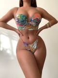 Sexy Tropical Floral Print Bikini Two Piece Swimsuit