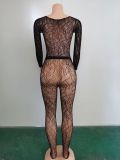 Women hollow mesh laceSexy Lingerie two-piece set