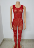 Women Hollow Sexy Halter Neck Mesh Backless Jumpsuit Sexy Lingerie