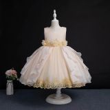 Girls wedding dress princess tutu Dress