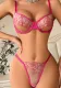 Women hollow embroidered mesh See-Through Sexy Lingerie two-piece set