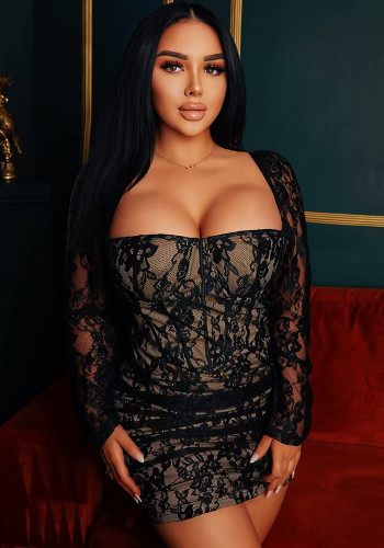 Sexy See-Through Long Sleeve Bodycon Dress Plus Size Lace Dress