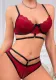 Sexy Lace Temptation Hollow Embroidery Women's Lingerie