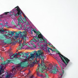 Women's Summer Mesh Print Round Neck Long Sleeve Top High Waist Pants Casual Two Piece Set