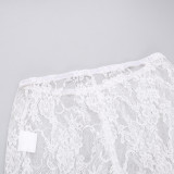 High-Waisted Lace See-Through Bow Trousers Straight-Leg Pants
