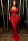 Spring Summer Women's Halter Neck Low Back Solid Color Lace Top Sexy Long Skirt Two Piece Set