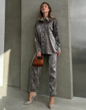 Spring Fashion Casual Women's Leopard Print Long Sleeve Shirt Pants Two Piece Set